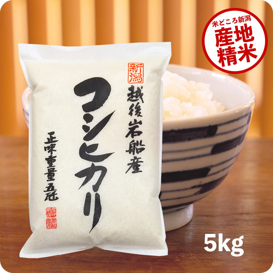 米 5kg 岩船産コシヒカリ お米 令和5