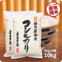 米 10kg 岩船産コシヒカリ お米 令和5