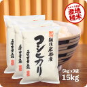 米 15kg 岩船産コシヒカリ お米 令和5年産 地域限定 こしひかり 5kg x3袋 送料無料（沖縄のぞく）