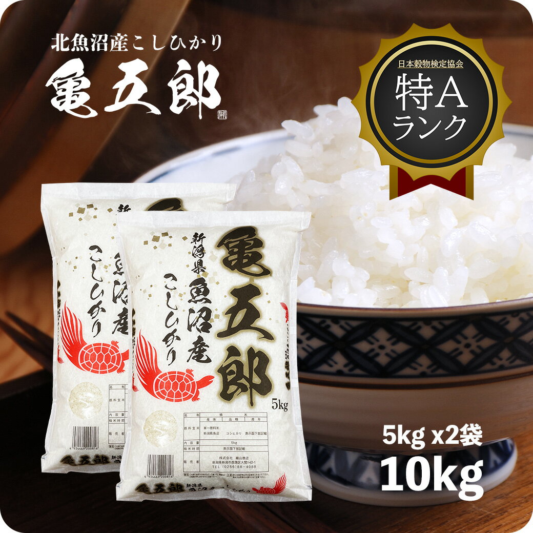 米 10kg 亀五郎さんのコシヒカリ お米 特A 送料無料 令和5年産 白米 10キロ 北魚沼 生産者限定米