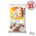 【エントリーP5倍】もち米 5kg 新潟