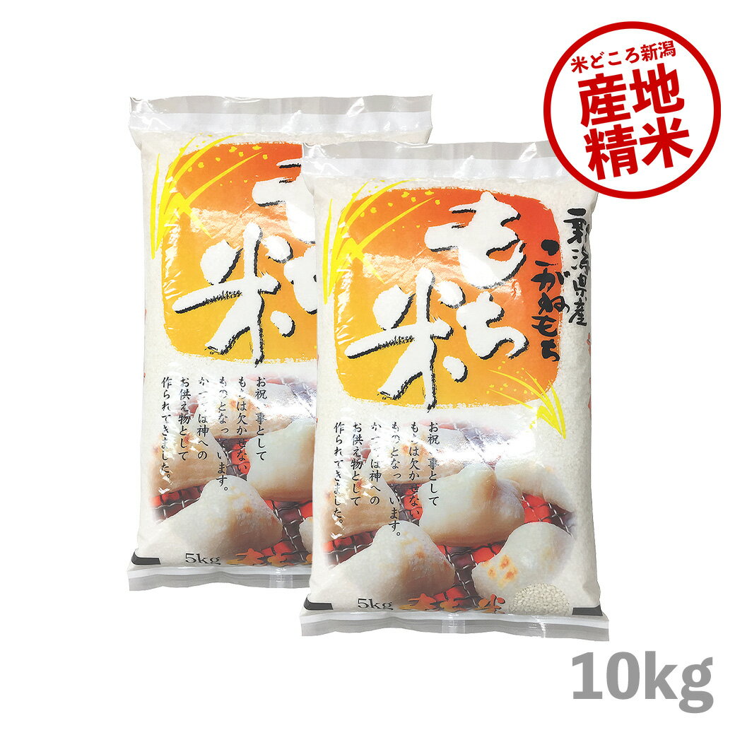 もち米 10kg 新潟産こがねもち お米 令和5年産 5kg x2袋 送料無料 沖縄のぞく 