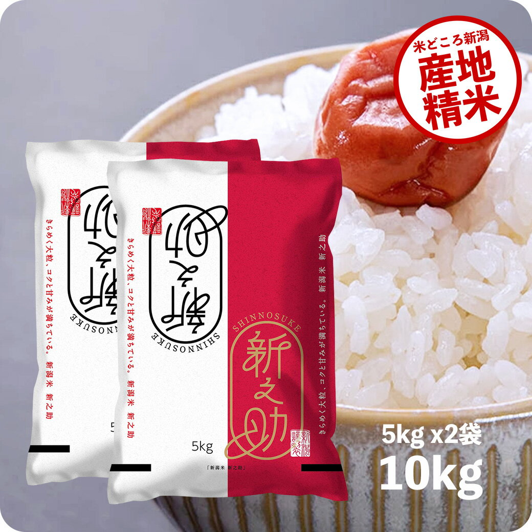 米 10kg 新之助 お米 令