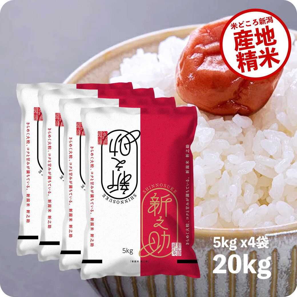 米 20kg 新之助 お米 令