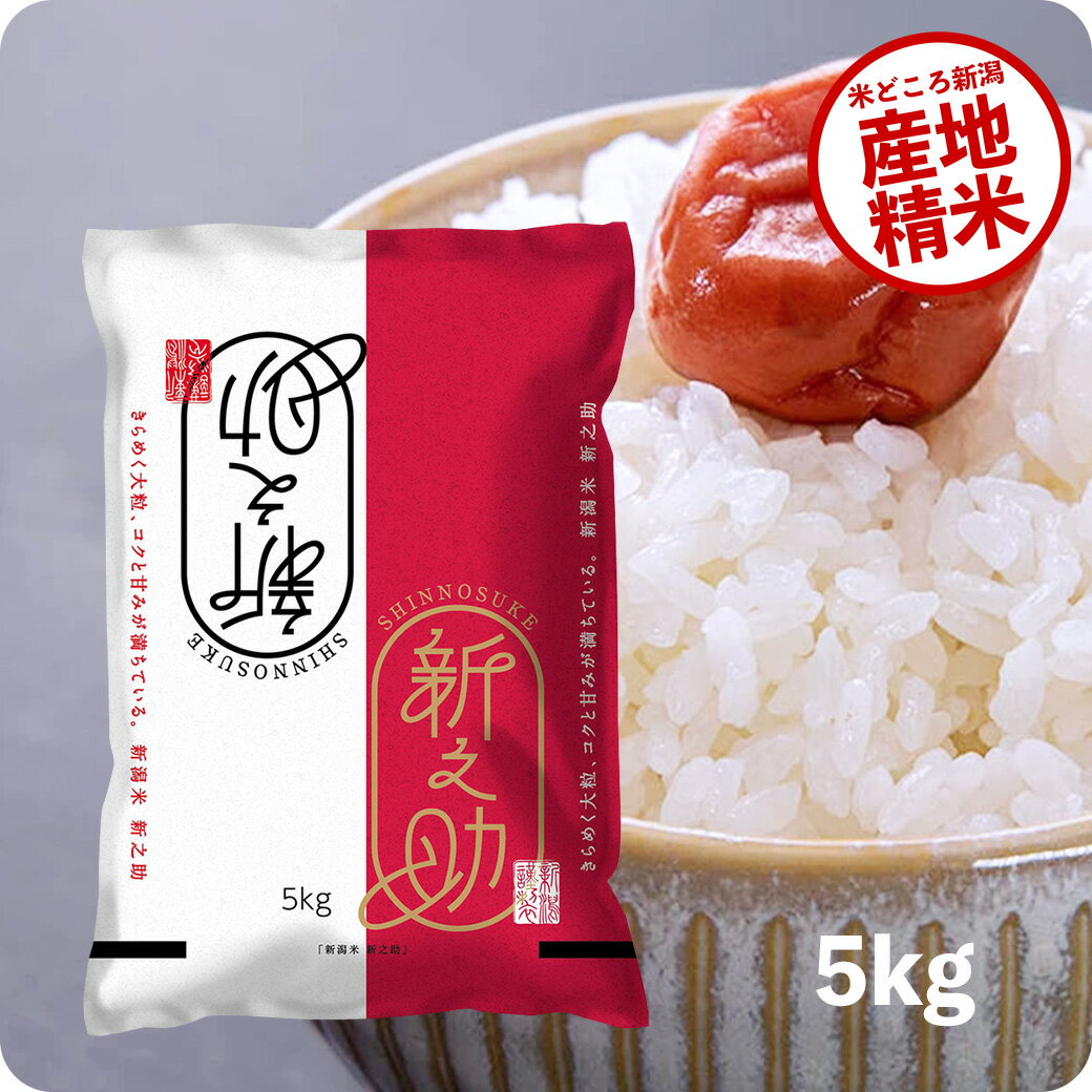 米 5kg 新之助 お米 令和5年産 一等米 新潟県産 しんのすけ 精米 白米 送料無料（沖縄のぞく）