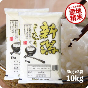 米 10kg 新潟産コシヒカリ お米 令和5年産 こしひかり 5kg ×2袋 精米 白米 送料無料（沖縄のぞく）
