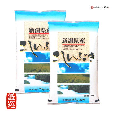 米 10kg 新潟産こしいぶき 令和3年産 お米 5kg ×2 精米 白米 本州へは送料無料