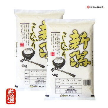 米 10kg 新潟産コシヒカリ 令和3年産 お米 【送料無料】 5kg ×2 精米 白米