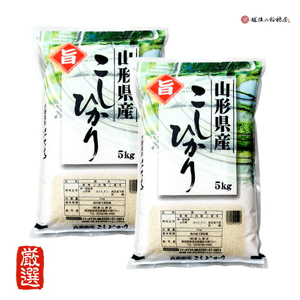 米 10kg 山形産コシヒカリ 令和3年産 お米 こしひかり 5kg ×2 精米 白米 本州へは送料無料