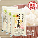 越後の稲穂屋 お米 米 15kg ゆきん子舞 令和5年産 お米 5kg x3袋 新潟県産 精米 白米 送料無料（沖縄のぞく）