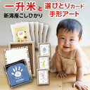 【 手形スタンプ 選び取り カード ＆台紙付き】一升米 1歳 小分け 新潟産コシヒカリ2合5個 セット 【300g*5個】 真空パック 手形スタンプパッド パームカラーズ ファーストアート 祝 一歳 選びとり 誕生日 名入れ 名前 赤ちゃん 男の子 女の子 一生米 一升餅