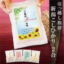 引っ越し 挨拶 粗品 ギフト 【真空パックのお米】 送料無料 【5個から承ります】 米 新潟産コシヒカリ 2合 真空パック 即日 お米 引越し メッセージ 御礼 プチギフト お礼 引越 粗品 近所 近隣 和紙袋 おしゃれ アパート 戸建て 粗品 御中元 景品 ほんの気持ち