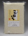 【もち米】新潟産 こがねもち 真空パック 1kg 新潟 おいしい