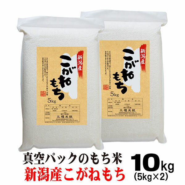 【エントリーP5倍】もち米 10kg 新潟産こがねもち お米 令和5年産 5kg x2袋 送料無料（沖縄のぞく）