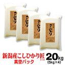 米  新潟 コシヒカリ 「匠」 20kg （5kg×4） 新潟県産 新潟産 備蓄 お歳暮 御歳暮 のし 備蓄 長期保存 こしひかり