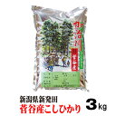 米 令和5年産 新潟県新発田菅谷産コシヒカリ 3kg 5000円の半返し 米 ギフト 2500円くらい