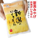 新潟 いってきました お土産 新潟産 コシヒカリ 3合（450g）真空パック お米 おみやげ プチギフト 賞品 景品