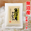 魚沼産 コシヒカリ 2合パック 300g イベント 記念品 ギフト