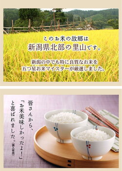 お米について