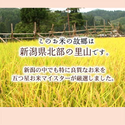 米の品質2