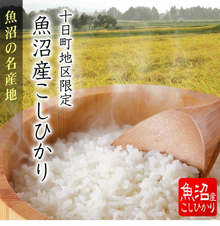 米 【真空パック】 魚沼産 コシヒカリ 1kg 2