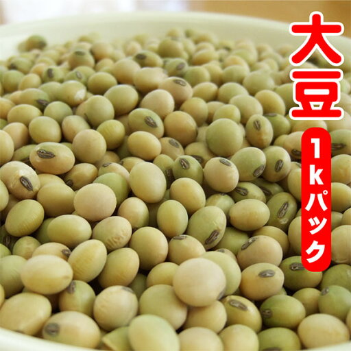 大豆 1kg 大袖振 令和6年産 国産 北海道産 業務用 大豆 1kg 大袖振 令和6年産 国産 北海道産 業務用