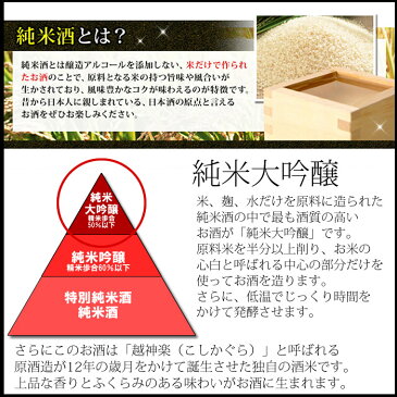 越の誉 純米大吟醸 秘蔵古酒酒 もろはく 750ml 原酒造 日本酒 純米大吟醸 熟成酒 古酒 敬老の日 誕生日 プレゼント 贈り物に 令和を祝うお酒