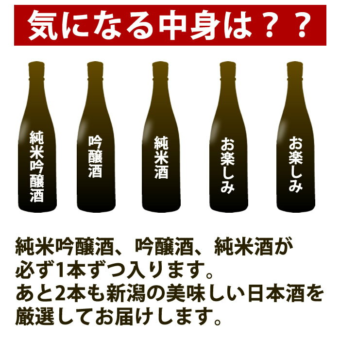 新潟の日本酒と甘酒 越後銘門酒会 【楽天スーパーSALE限定】 日本酒 福袋 720ml 5本 送料無料 中身は届いてからのお楽しみ 純米吟醸 純米酒 吟醸酒入り 四合瓶 飲み比べ 日本酒 福袋