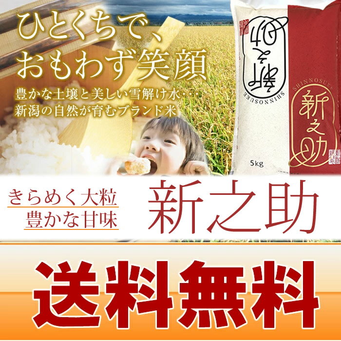 【産地直送】新潟米 新之助 5kg または 10kg 令和7年産新米 早川米穀店 新潟県産 お米 米 白米 ご飯 ライス お米 大粒 甘味 五つ星お米マイスターが選ぶ美味しいお米 しんのすけ 新潟 お米 白米 ご飯 送料無料 新潟グルメ