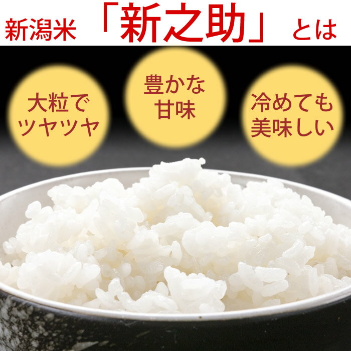 【産地直送】新潟米 新之助 5kg 新潟県産 お米 米 白米 ご飯 ライス お米 大粒 甘味 五つ星お米マイスターが選ぶ美味しいお米 しんのすけ 新潟 お米 白米 ご飯 送料無料 新潟グルメ 3