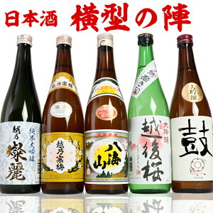 横型の陣 純米大吟醸 大吟醸 有名酒飲み比べセット720ml 5本 越乃寒梅 八海山 日本酒 純米大吟醸 大吟醸酒 特割四合瓶 5本組 プレゼント ギフト お酒 日本酒 送料無料 【送料無料】