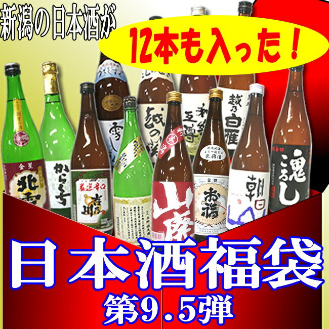 お燗でさらに旨くなる限定商品が入ってリニューアル！【A154】【第10弾】「新潟の日本酒720ml12本も入った1万円ジャスト福袋」【送料無料】【smtb-TK】【あす楽対応】【マラソンP02】