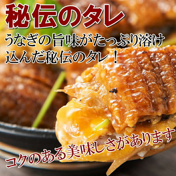うなぎ卸問屋が秘伝のタレで作った刻みうなぎ100g 3袋 うなぎ2尾分 刻みうなぎ300g 山椒3個付き 【産地直送】【冷凍】賞味期限90日 ウナギ 鰻 玉子とじ丼 柳川風 うざく ちらし寿司など簡単調理 スタミナ抜群 越後魚屋 うなふく 土用 丑の日 使い切りパック 時短調理