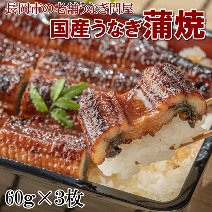 国産うなぎ蒲焼ハーフサイズ3枚 たれ入 うなぎ蒲焼 約60g×3個　山椒 3個 旨味たっぷりの蒲焼 うなぎの旨味がたっぷり 秘伝のタレ ウナギ 鰻 【産地直送】【冷凍】賞味期限90日 冷凍パック 調理済み 2分加熱するだけ 越後魚屋 うなふく 新潟グルメ 父の日 母の日