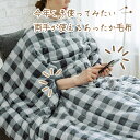 【今年こそ♪】手が出せる毛布 ハンドフリーあったか毛布 シングルサイズ チェック柄 越後ふとん(3)