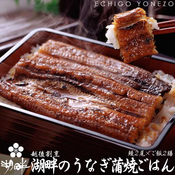 【三河産特上鰻】うなぎ蒲焼 魚沼ごはん 鰻(大サイズ) 2尾/カット4枚 ごはん2膳 越後割烹湖畔 謹製 日本鰻使用 魚沼産コシヒカリ 炊上げごはん 急速冷凍 真空パック 山椒付 父の日 敬老の日 土用の丑の日 お歳暮 glaze-grilled japonica eel