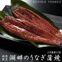 【三河産特上鰻】うなぎ蒲焼 鰻(大サイズ) 2尾ロング 越後割烹湖畔 謹製 日本鰻使用 急速冷凍 真空パック 山椒付 父の日 敬老の日 土用の丑の日 お中元 glaze-grilled japonica eel