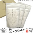 【ミネラル工房】白いダイヤ ゆうパケットセット300g (100g×3) チャック付きスタンド袋 越後村上中浜産 天然塩100% 無添加 オーガニック 手造り salt organic ocean water niigata made in japan