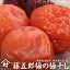 ڤʪ۱۸嵵û ƣϺ  ߴ 160g ̵ź ŷ ʤߤܤ 㸩 ۸嵵Ķ  ʬ15 ¼򼡾Ź ume umeboshi salted plam niigata mede in japan