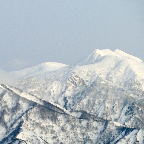 【南魚沼天然水】おいしい天然水 魚沼の水 1ケ...の紹介画像3