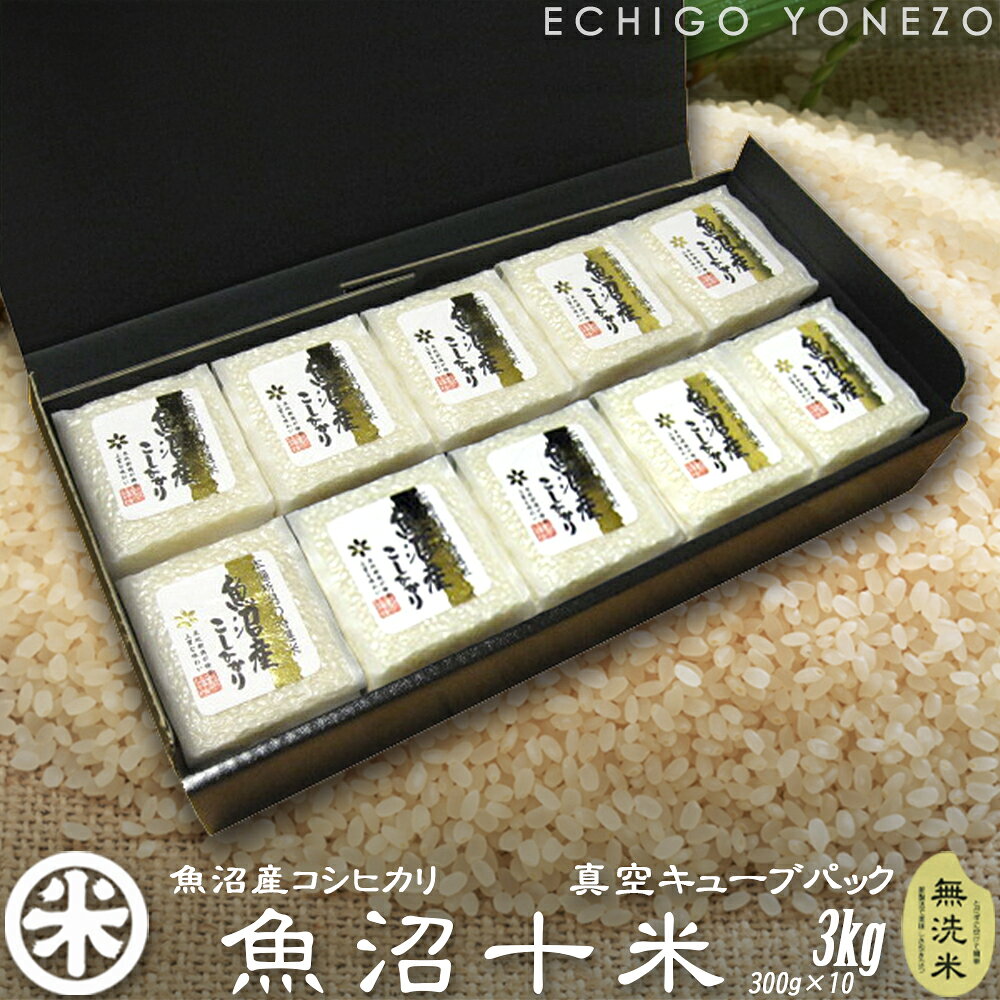 【新米 令和7年産】魚沼十米 魚沼産