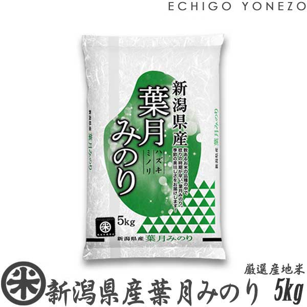 [新米01][新品種]新潟県産葉月みのり 白米 5kg (5kg×1袋) 早生品種/本年限定/下越米/こしひかり/送料無料gift/kome/niigata/koshihikari