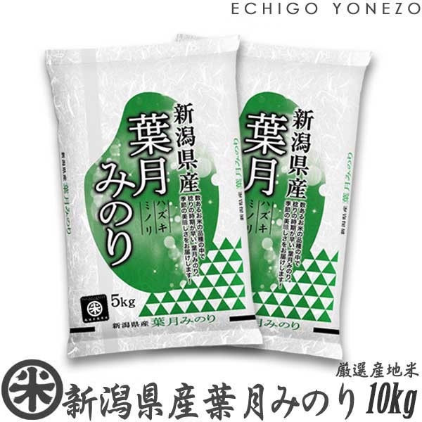 [新潟米 新品種] 新潟県産葉月みのり 白米 10kg (5kg×2袋) 早生品種 本年限定 下越米 こしひかり 送料無料gift kome niigata koshihikari