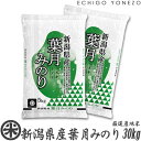 [新潟米 新品種] 新潟県産葉月みのり 白米 30kg (5kg×6袋) 早生品種 本年限定 下越米 こしひかり 送料無料gift kome niigata koshihikari