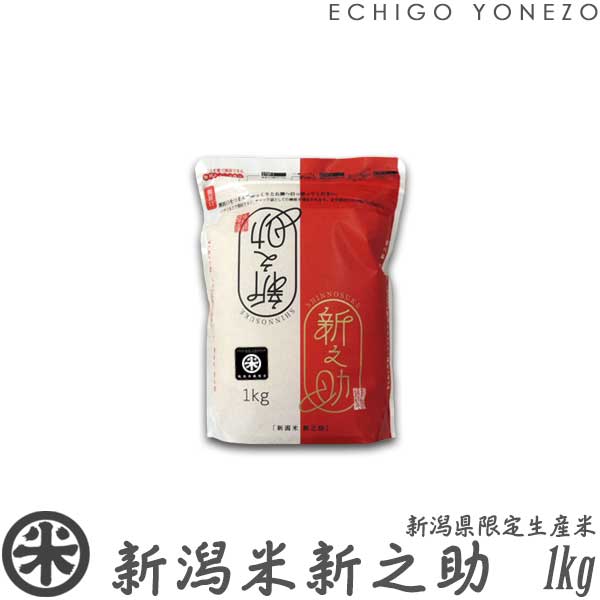 【新米 令和7年産】新