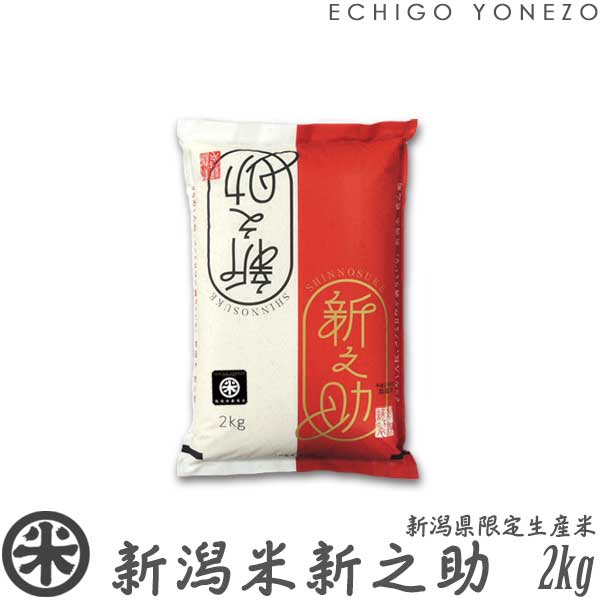 【新米 令和7年産】新