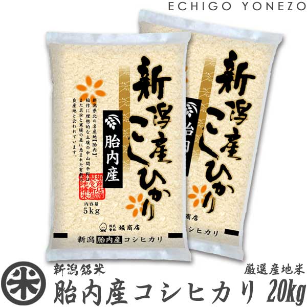 yV ߘa5NYzٓYRVqJ ~ű  20kg (5kg~4) IYn Ђ Mtg  yY   j j 䒆 Ε gift kome niigata koshihikari japonica rice