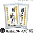 yV ߘa5NYzYRVqJ VĂ̎V[Y  10kg (5kg~2) ō  Ђ Mtg  yY   j j 䒆 Ε gift kome uonuma koshihikari japonica rice