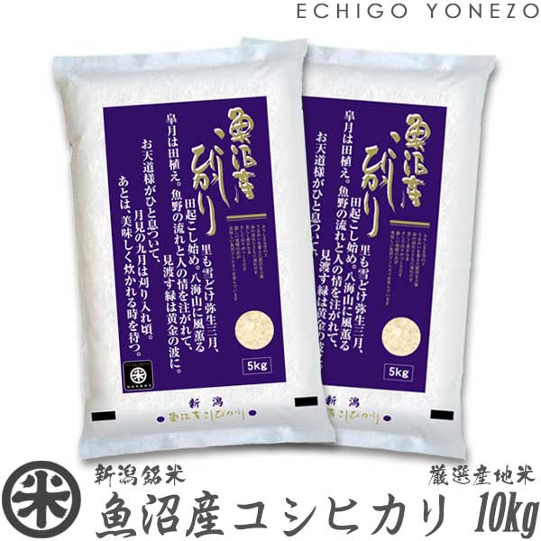 【新潟米 令和5年産】魚沼産コシヒカリ 厳選産地米 白米 10kg (5kg×2袋) 国内最高峰 南魚沼 こしひかり ギフト 米 手土産 おもたせ 贈答 内祝 御祝 御中元 御歳暮 gift kome uonuma koshihikari japonica rice