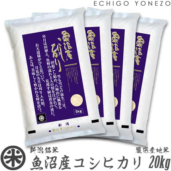 楽天越後米蔵商店【新潟米 令和5年産】魚沼産コシヒカリ 厳選産地米 白米 20kg （5kg×4袋） 国内最高峰 南魚沼 こしひかり ギフト 米 手土産 おもたせ 贈答 内祝 御祝 御中元 御歳暮 gift kome uonuma koshihikari japonica rice